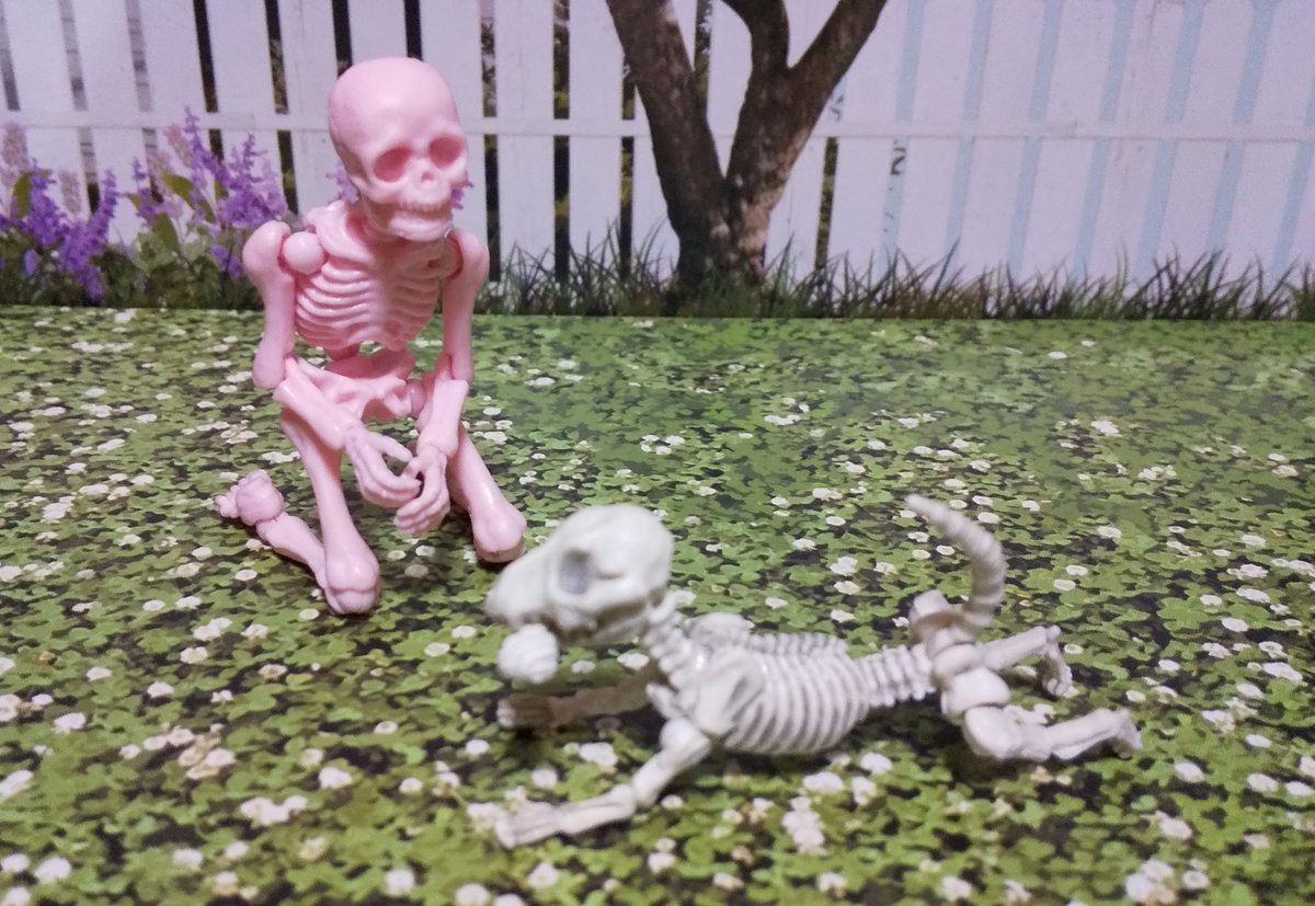 イヌ見つけた！
可愛い♪

#ポーズスケルトン
#イヌ01
