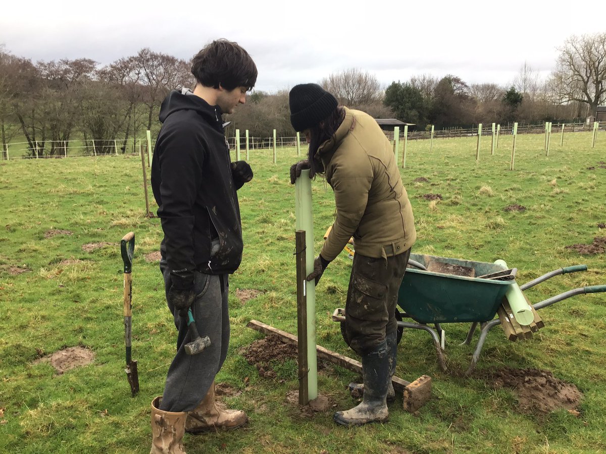 NewDaleWood's tweet photo. Volunteers check the tree guards are firmly tied in place as strong winds continue to batter the site. https://t.co/ufES8qU63K