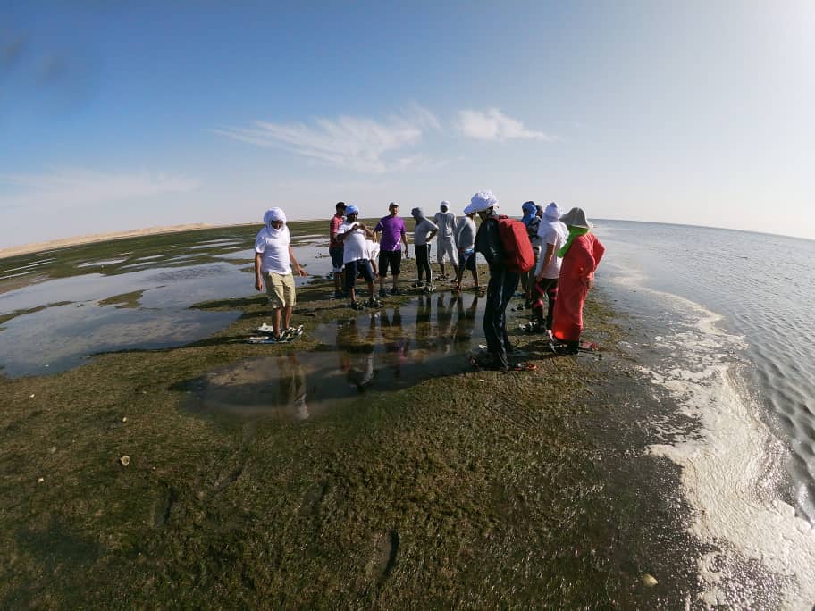 SeagrassWAfrica's tweet image. The last workshop of the Mauritanian team ended last week on a high note! Three species of #seagrasses were identified during a field-trip at the Parc National du Banc d&apos;Arguin🌱
Congrats to the National Team for the fantastic work👏👏
#KeepMapping #SeagrassRulez