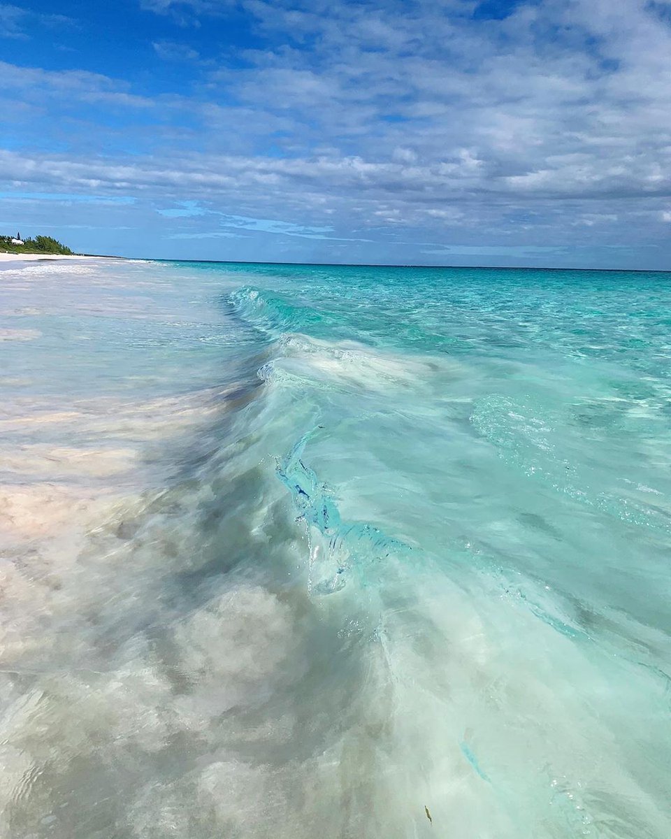 Explore The Bahamas tweet media