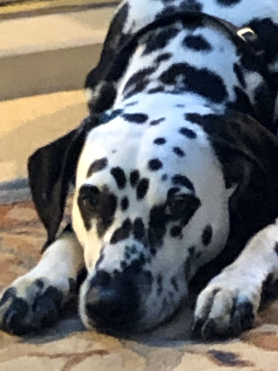 Day 4 of 7 of my life in pictures - no words, no explanations. Nominated by <a href="/sorcha_b/">Sarah Byrne</a> I nominate <a href="/manezea/">Arnold Maneze</a>