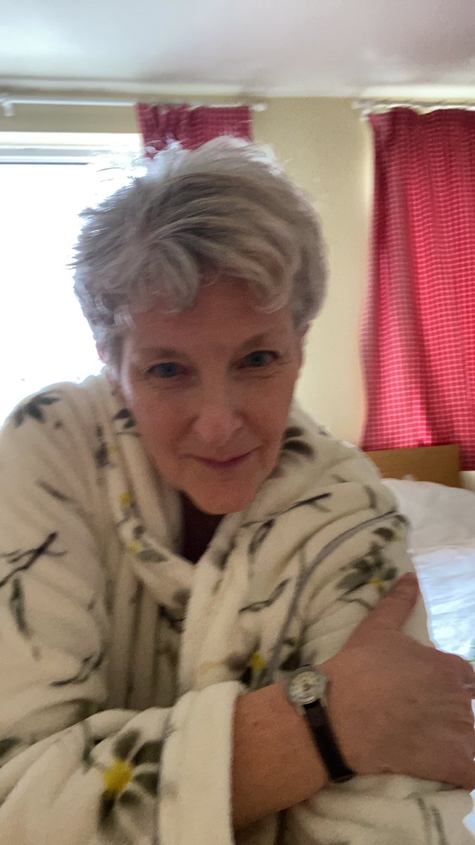 MimiThebo's tweet image. I swear if it wasn’t for Dog, I’d wear this dressing gown all day. #writerslife #shame  #writingday