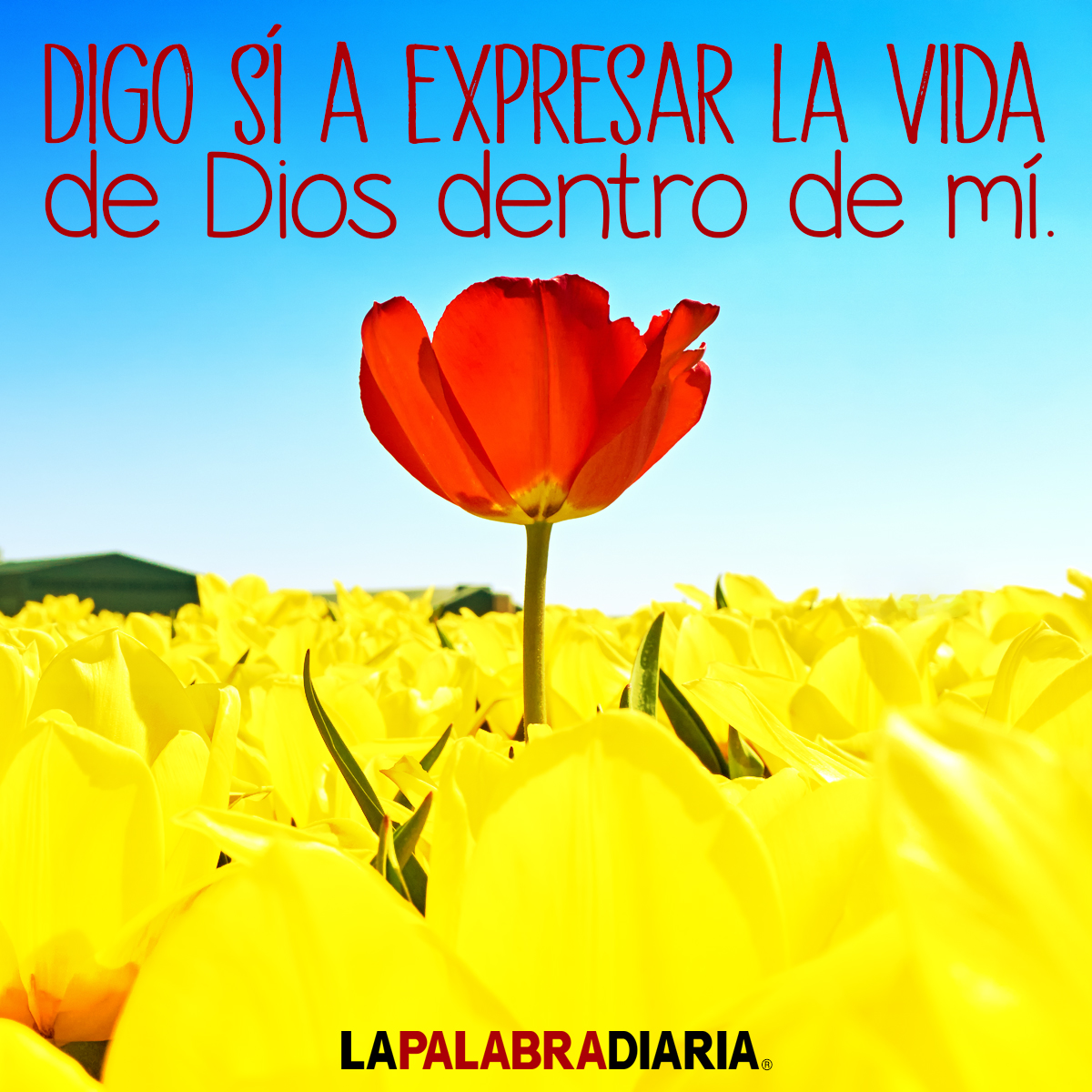 unityenlinea's tweet image. ¡Sí!
DIGO SÍ A EXPRESAR LA VIDA DE DIOS DENTRO DE MÍ.

unityenlinea.org/dailyword/%C2%…