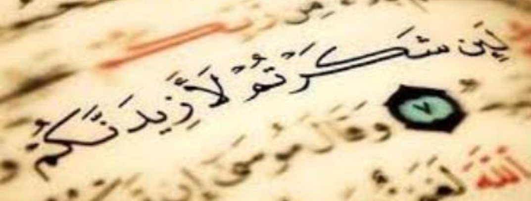 sara anwar (@sara_anwar2016) on Twitter photo 