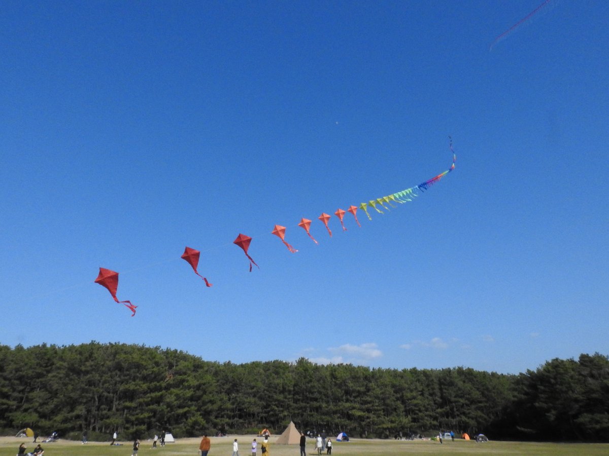 連凧 Twitter Search