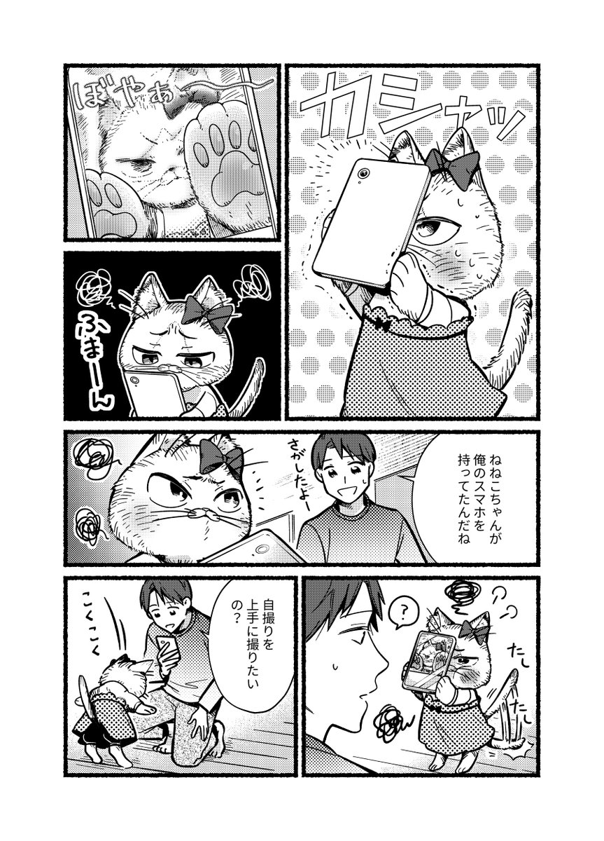 猫の妹は自撮りがしたい。
#妹は猫 #漫画が読めるハッシュタグ 