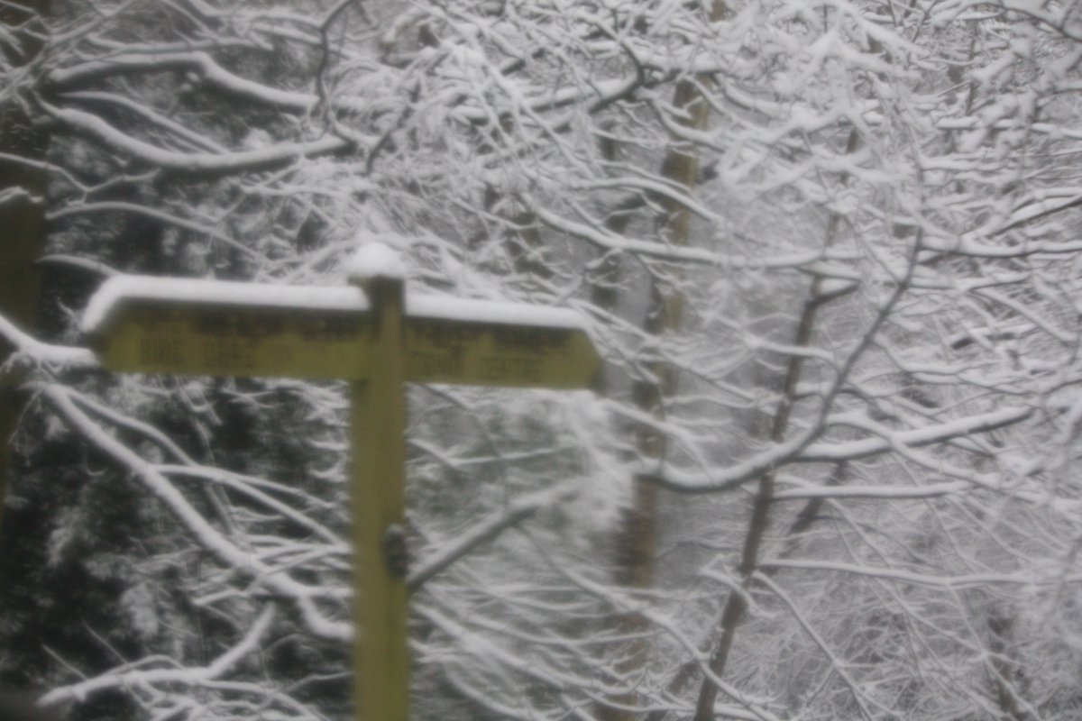 We like the #Harrogate #Snow! #JustSaying