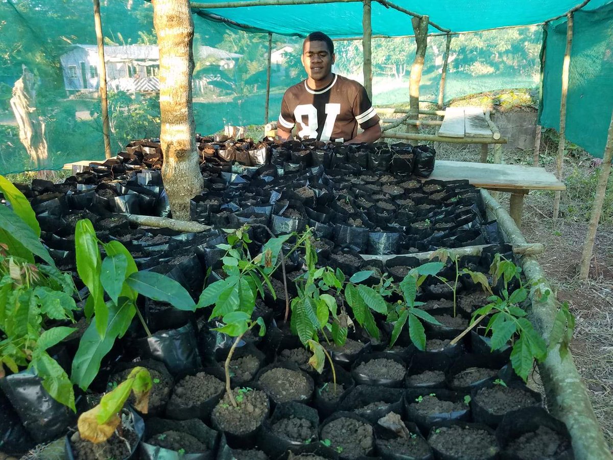 Apolosa Robaigau tweet media