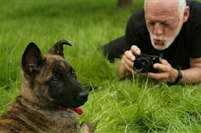 Just_pinkfloyd's tweet photo. and there is time to kill today... https://t.co/uN2MpAS6bo