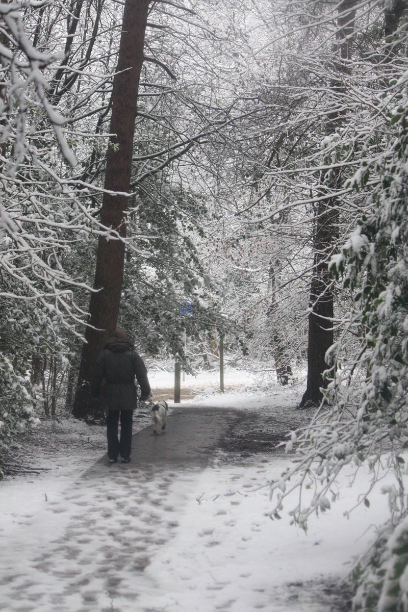 🌳Pinewoods Harrogate🌳 (@pinewoodshgt) on Twitter photo 