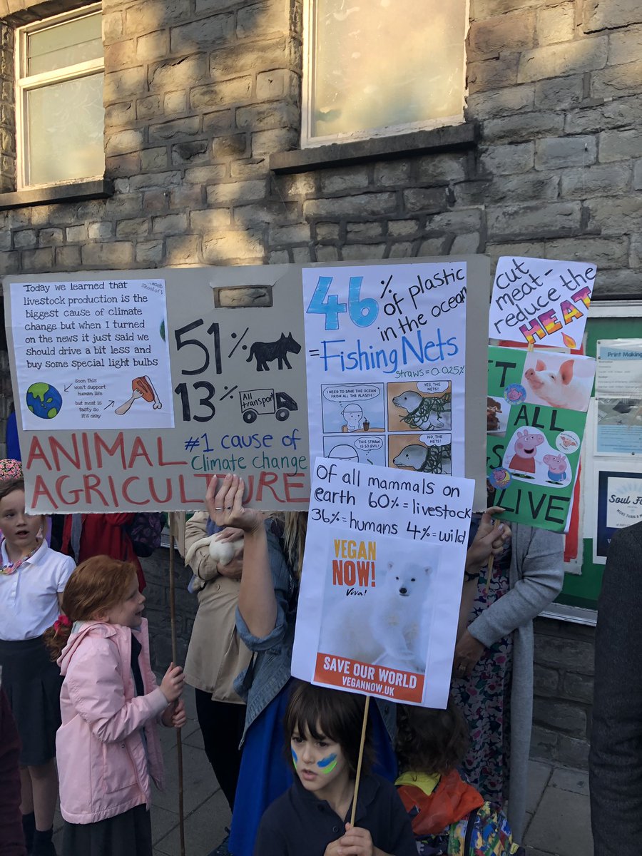 StBonsPrimary's tweet photo. .@GretaThunberg you have inspired us to be Agents of Change, we have remade our curriculum and this will be our 4th #ClimateStrike - could you join our march at 8:30? Lots of our children are too young to walk into the city centre, but we aren't too small to make a difference! https://t.co/1Qv23k9jvi