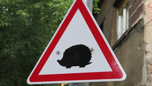 So happy to see that hedgehog traffic signs will be introduced to our roads. This will hopefully reduce the amount of hedgehog deaths when they are crossing roads. #Hedgehogs #Helpthehedgehogs #Savethehedgehogs