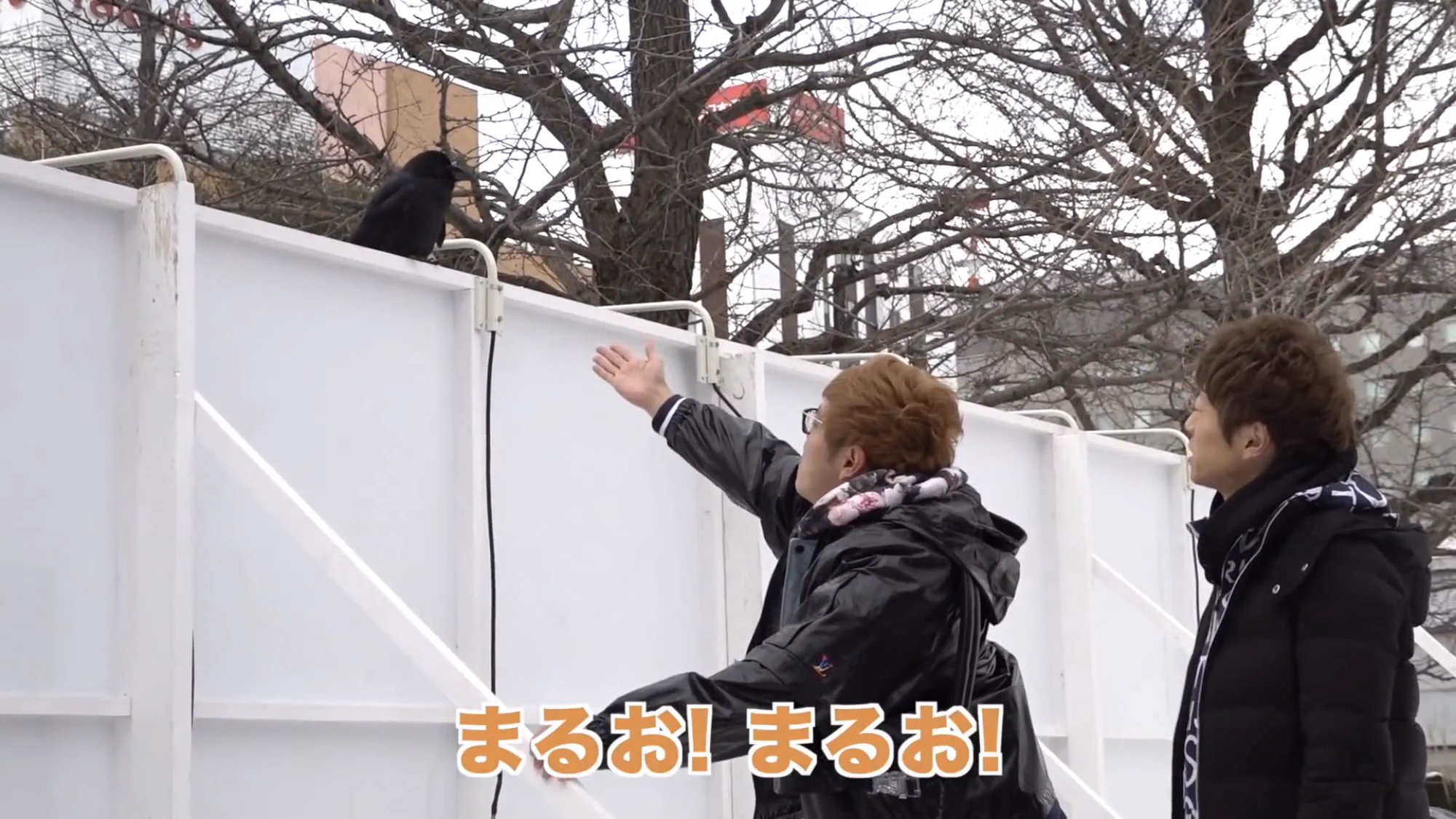 ヒカキン精神崩壊！？まるおに見えちゃう現象