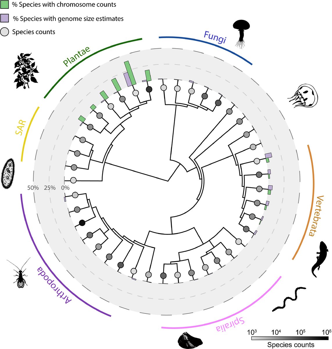 New Phytologist (@newphyt) on Twitter photo Does reproductive assurance explain the incidence of polyploidy in plants and animals? <a href="/soltislab/">Soltis Lab @UF</a> <a href="/rmkeeffe/">Rachel Keeffe, PhD</a> <a href="/mcdaniellab/">Stuart McDaniel</a> #Letter nph.onlinelibrary.wiley.com/doi/10.1111/np… Does reproductive assurance explain the incidence of polyploidy in plants and animals? <a href="/soltislab/">Soltis Lab @UF</a> <a href="/rmkeeffe/">Rachel Keeffe, PhD</a> <a href="/mcdaniellab/">Stuart McDaniel</a> #Letter nph.onlinelibrary.wiley.com/doi/10.1111/np…