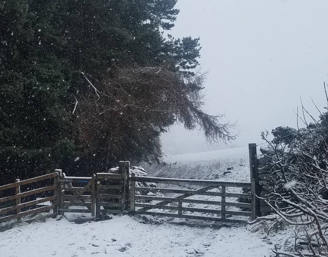 blonde_on_bikes's tweet photo. 5k to start the day with an out and back on the Green Road....or not so green as the case may be ππ¨ #scottishborders #clovenfordspaths #galapaths #meiglecircular #tweedvalley #wintertraining #snowday #snowing https://t.co/dZZfPMZ7RO