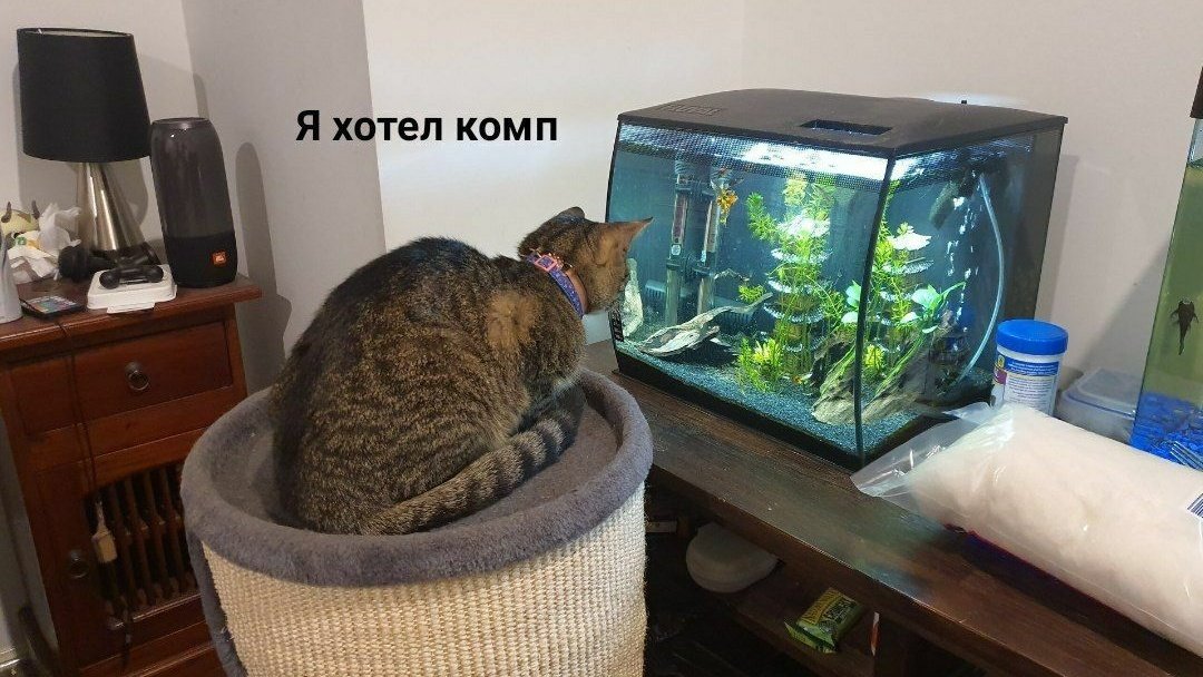 ERiPJEKWAAUX9W-?format=jpg&name=medium