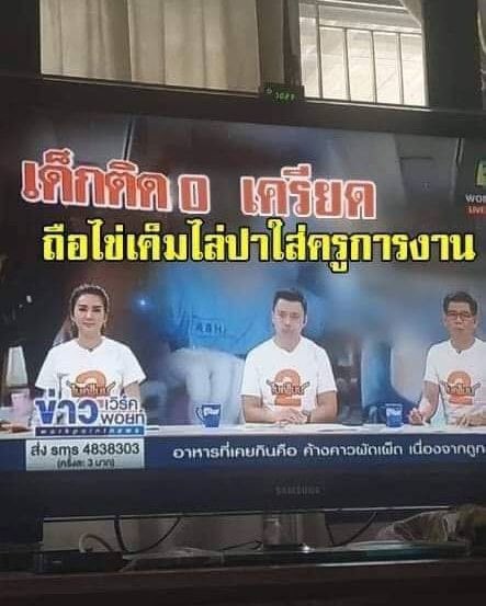 มัชชึ tweet media