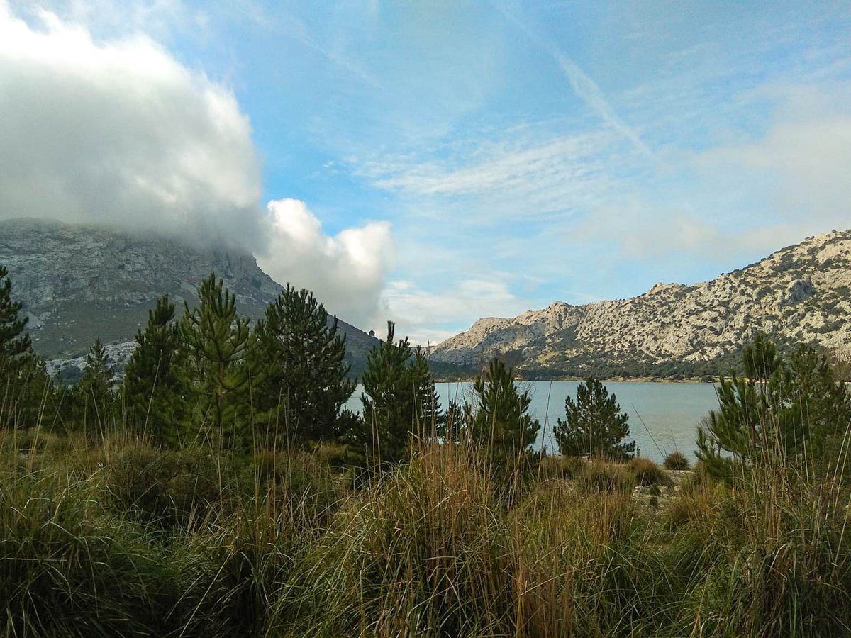 FuturtransSL's tweet photo. Good Morning. Have you gone on an excursion this weekend? Our photo-driver Mercedes sends us some images of the Cúber reservoir and the views from the Ses barques viewpoint.

Shall you come? 🧡🚍

#cuber #miradordesesbarques #excursion #serradetramuntana #mallorca https://t.co/X6X9jHHPsa