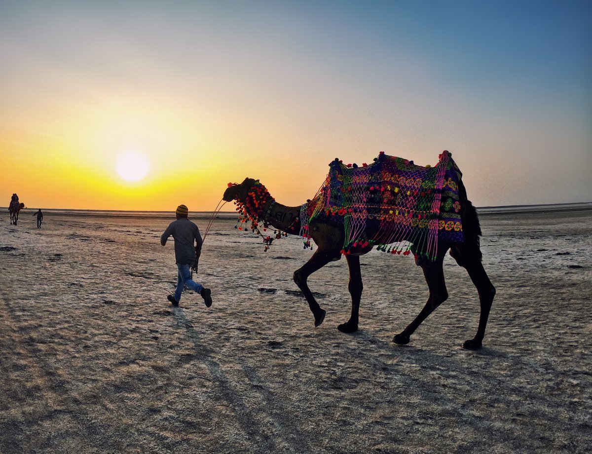 NGTIndia's tweet photo. Krishna Shah photographs a man and his camel as they embark on a sunset stroll during the #RannUtsav.
Send us your #DailyShot entries on contest@natgeotraveller.in with the subject line “#ColoursOfGujarat” and the theme you’ve chosen. #VibrantGujarat
Powered by @GujaratTourism https://t.co/0tZhuqwwcB