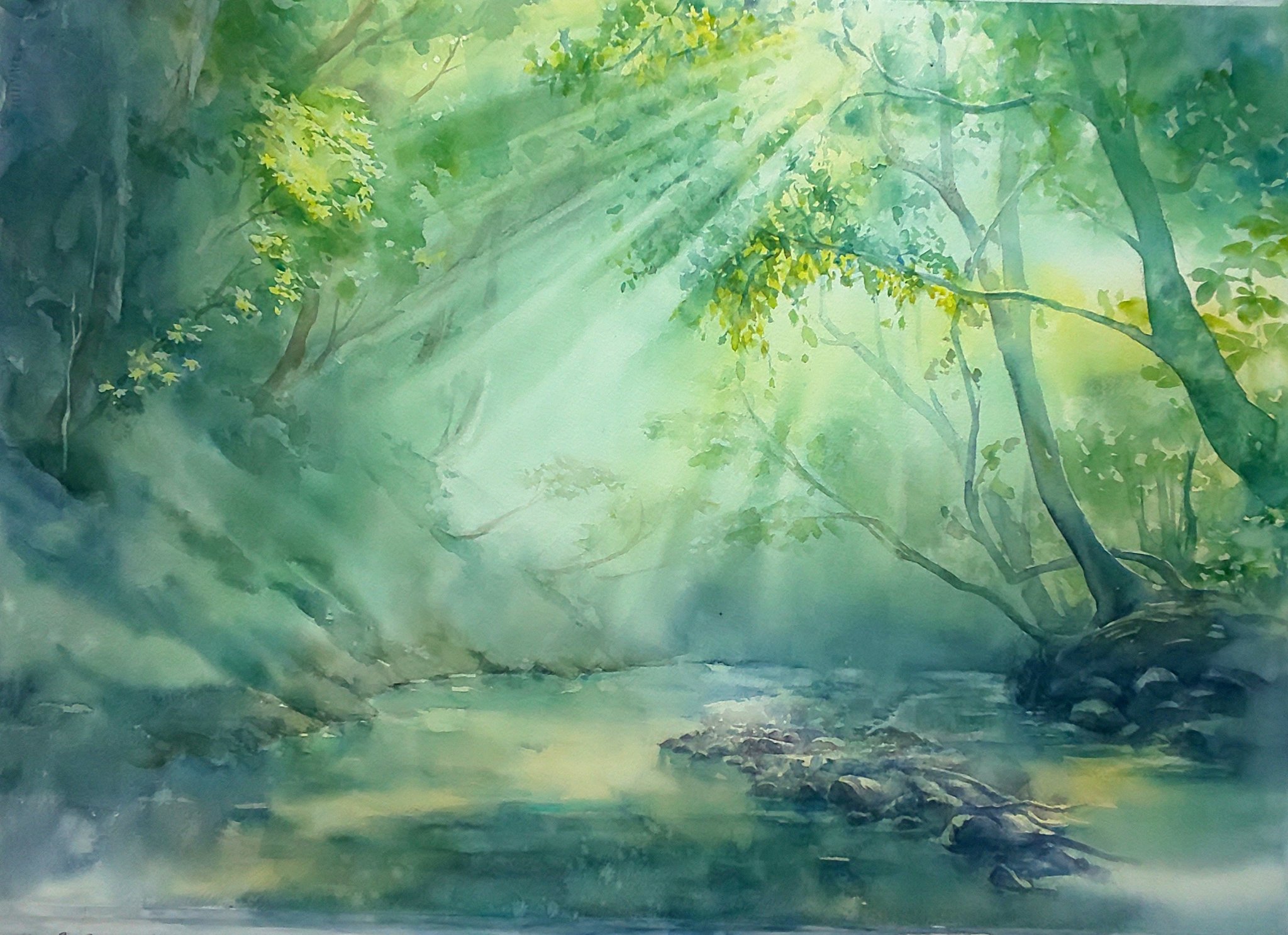 Yuka Hirata 在 Twitter 上 夏の朝 芦生の森 56 38 透明水彩 水彩画 風景 森の絵 T Co N2zywjrepk Twitter