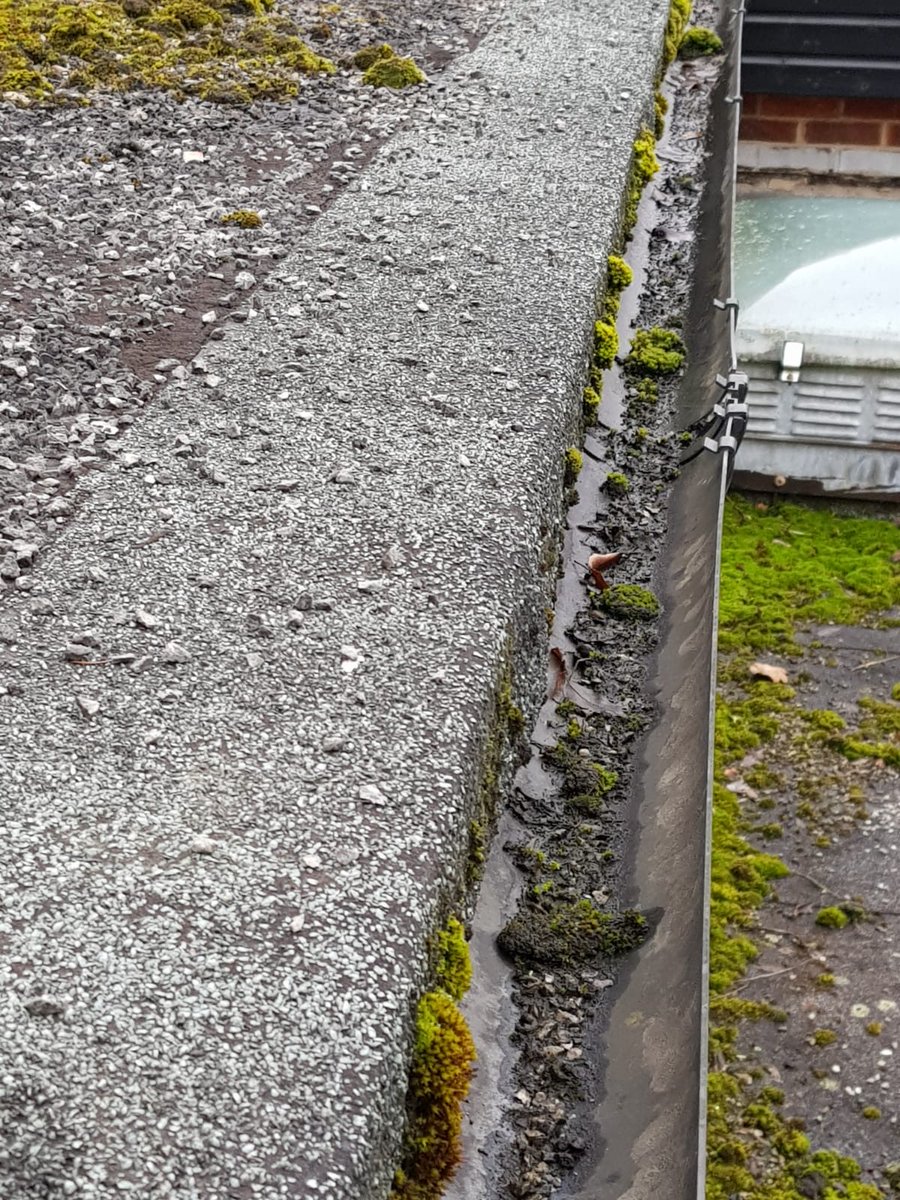 Does your gutter look somewhat similar to this one below? 👇

If you answered yes, you may want to consider taking advantage of our 10% off all gutter cleaning promotion.

Please do get in touch with us on 01235 754000, the offer expires on the 29th.