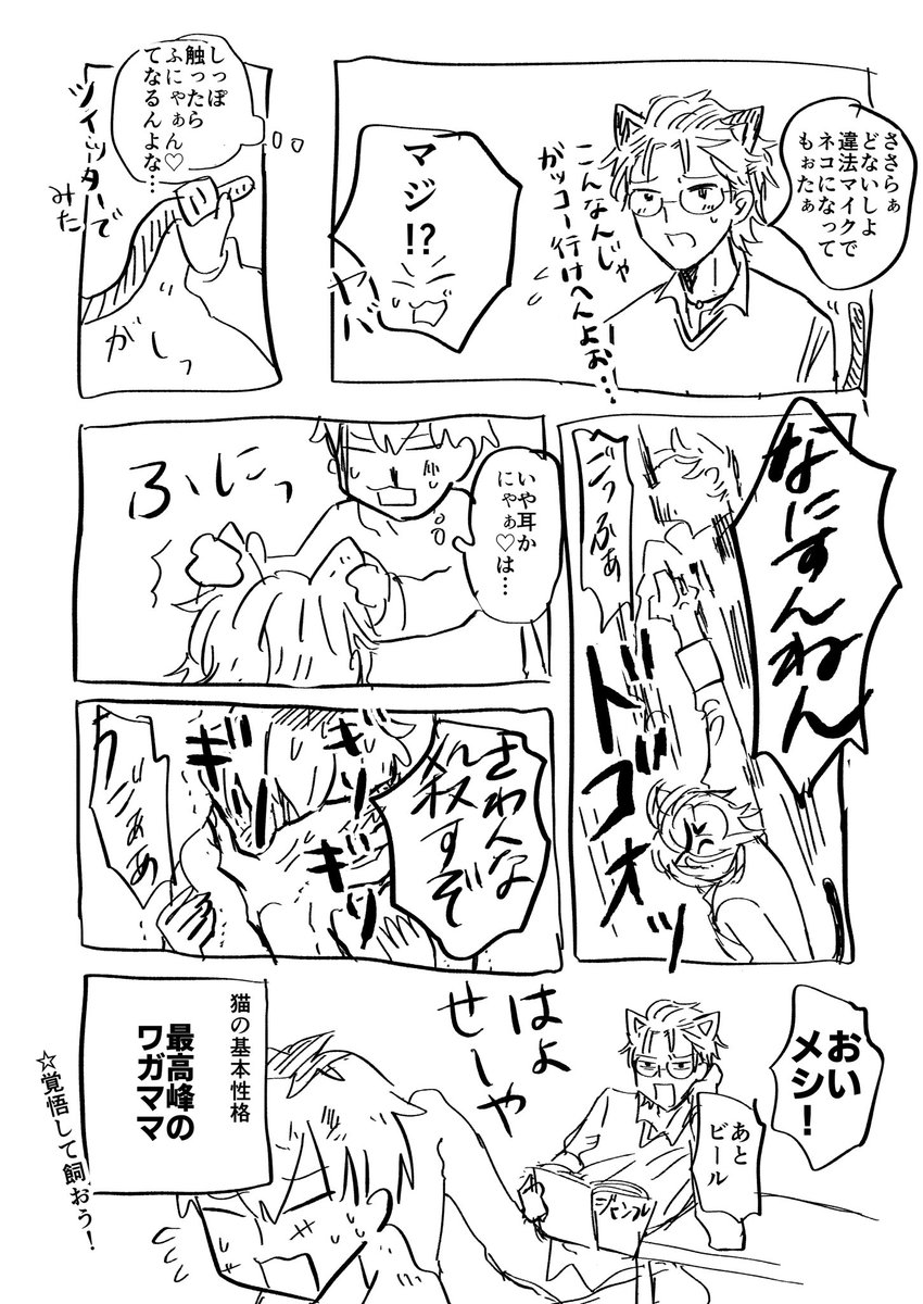 猫を飼うということ 
