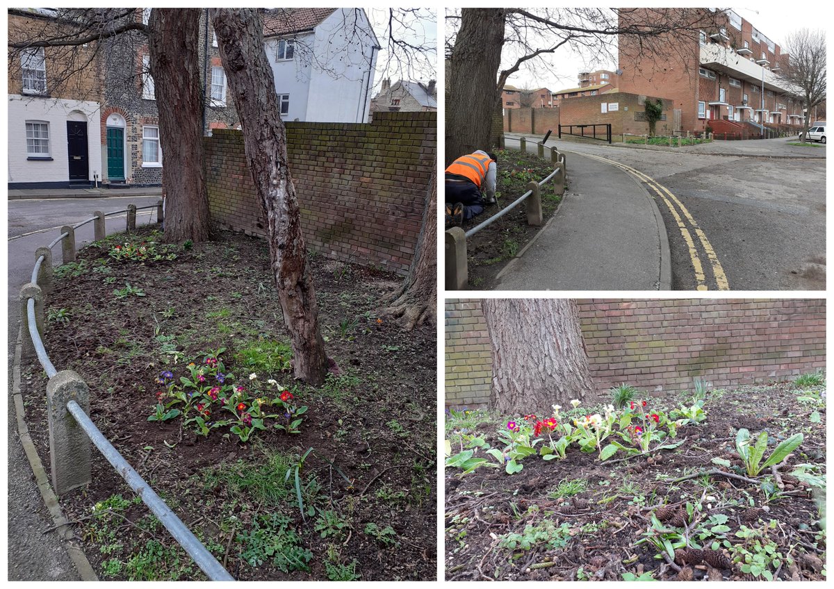 RamsgateTown's tweet photo. The Ramsgate Town Council Technicians have been busy the last couple of weeks around Ramsgate.

The overgrown flower bed in Staffordshire Car Park has been cleared.

Flowers have been planted in Turner Street and graffiti has been removed. #RamsgateTownCouncil #Technicians https://t.co/8OoJJjv11W