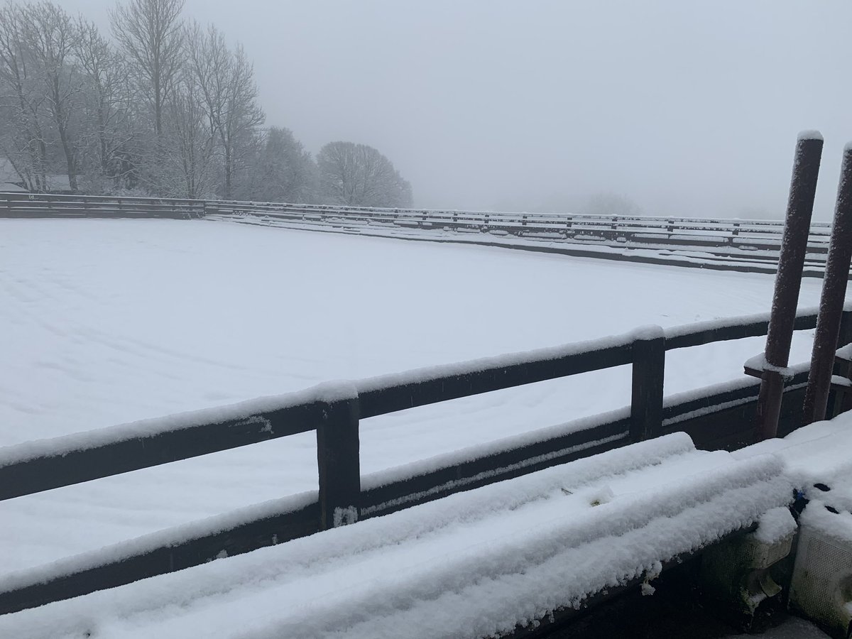 Snow ❄️ day for Scooby 🐴 but fed up with bad weather. I want to ride!