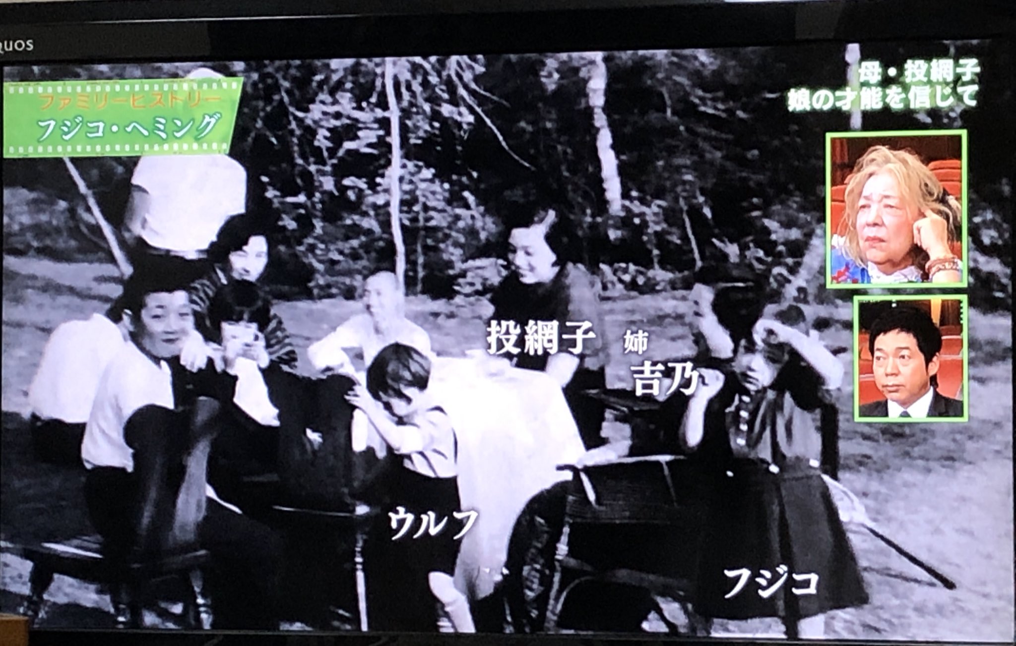 フジ子・ヘミング　額装　「幼い日の想い出 、フジ子とウルフ」 景コマ on X: 