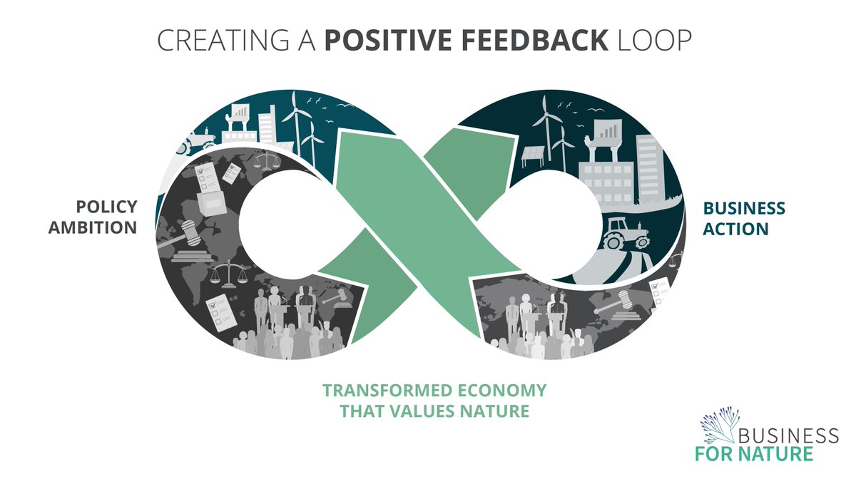 BfNCoalition's tweet photo. @BfNCoalition at the #OEWG: "An ambitious post-2020 framework will lead to more business action on nature, which in turn will continue to raise the ambition, therefore creating a positive policy-business feedback loop."
#Business #Nature #2020Superyear
@UNBiodiversity https://t.co/CvC7Fa80L5