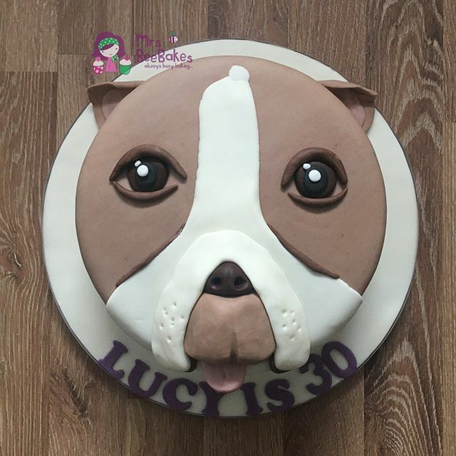mrsbeebakes's tweet photo. Woof! This cake was ordered for a dog-loving 30 year old - cute!

#DogCake #MrsBeeBakes #WhitleyBayCakes #CakesForGrownUps https://t.co/f82JAQrA0S https://t.co/SxLN0RBYY0