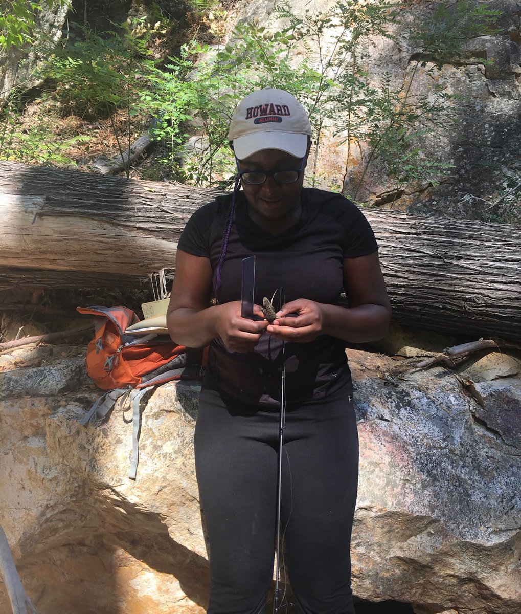 hood_naturalist's tweet photo. When I first saw @Afro_Herper (Earyn) on Twitter, she was actually the first Black woman in graduate school for wildlife science that I’d ever seen. I was so full of joy and still am.  SHE’S A LIZARD EXPERT, AND SO WONDERFUL! FOLLOW HER!!!! https://t.co/M61bE1iQtt