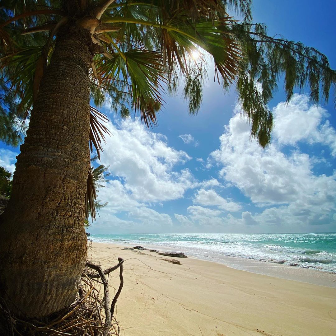 Explore The Bahamas tweet media