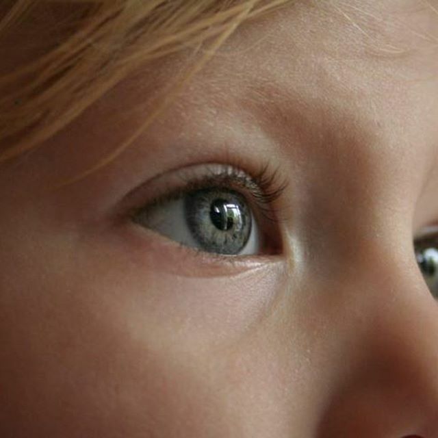 HomeopathRemedy's tweet photo. Homeopathy for autism.
Here is a lovely story of an autistic child helped by homeopathy https://t.co/UsYdv1isOT
@aurumprojectresearch
#autism #homeopathy #homeopathyforchildren #homeopathyforautism #adhd #homeopathyworks https://t.co/iaSm2JolZW