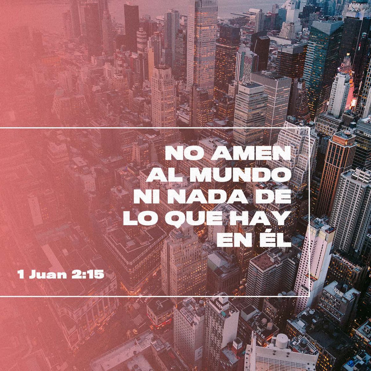 arbolessoficial's tweet photo. Feliz inicio de semana. #felizlunes https://t.co/QJdFopGGiR