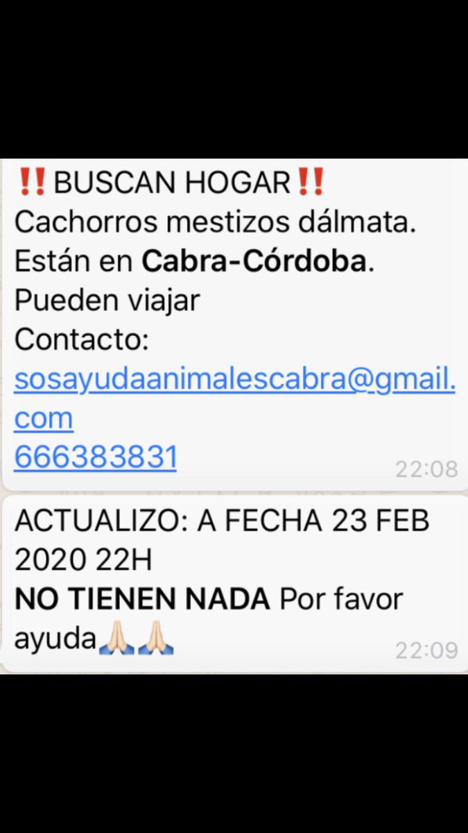 Lourdes G tweet media