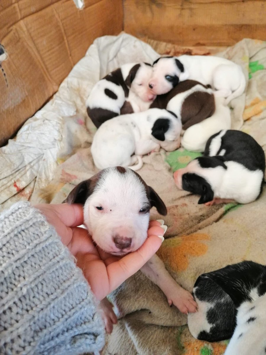 Lourdes G tweet media