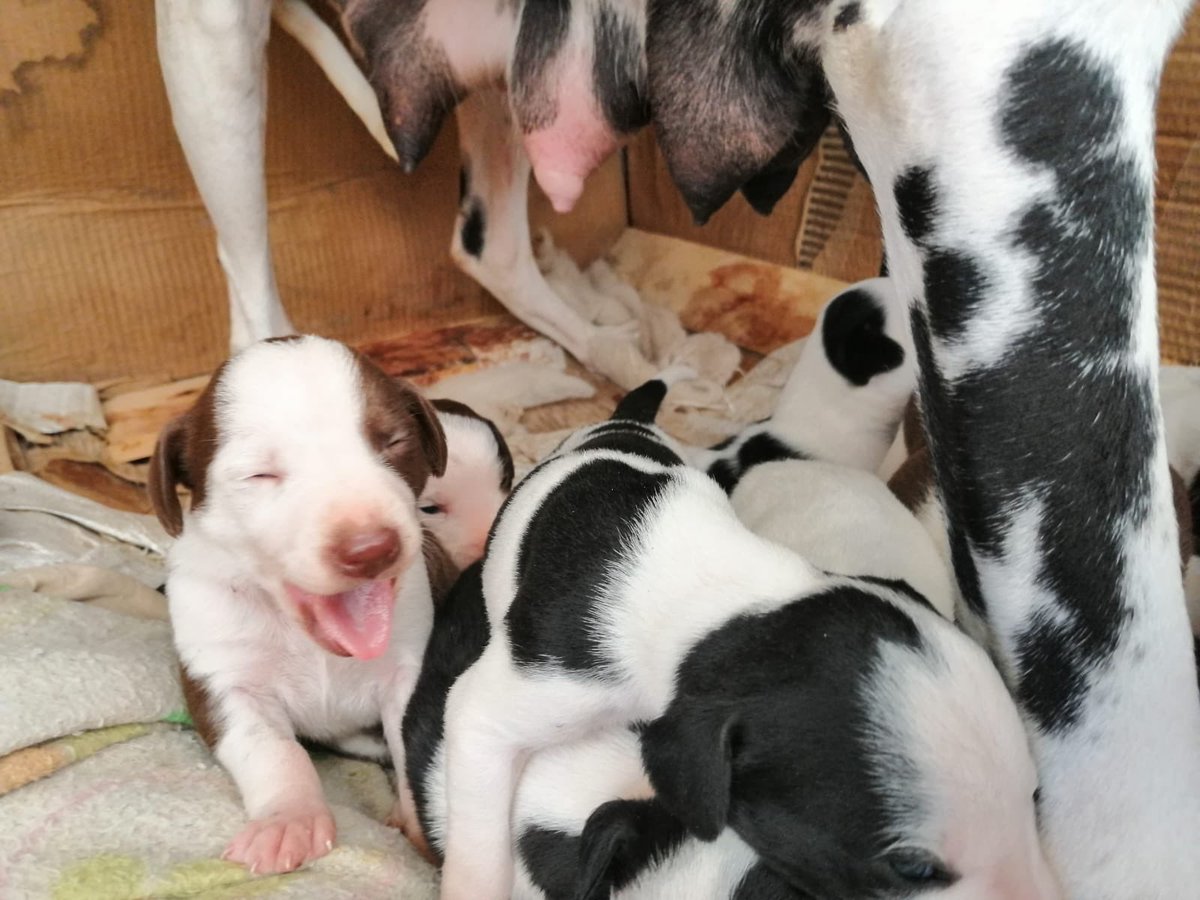 Lourdes G tweet media