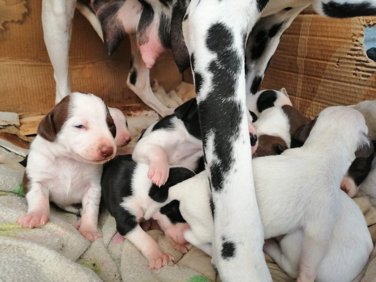 Lourdes G tweet media