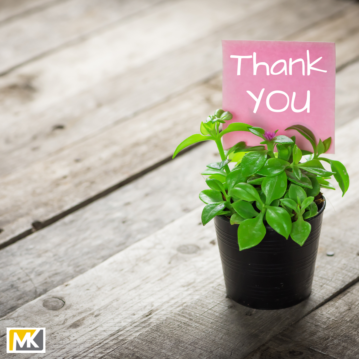 Ahhhh… Referrals.

We cannot thank the advocates of MacKenzie King enough, our core values and passion for success just go to show what a strong business community we are lucky enough to be a part of.

#Referrals #Welovereferrals #BorrowedTrust #MKTeam #MacKenzieKing