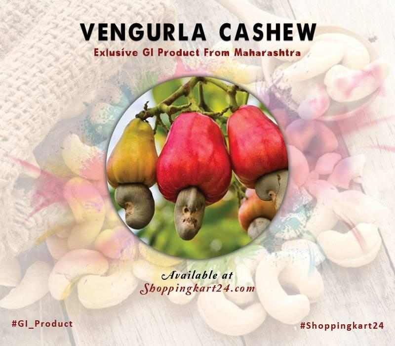 KnowYourGI's tweet photo. #VengurlaCashew or “#Kaju” is one of the popular #ingredients in sweet as well as #savory dishes worldwide. 
Shop Now: https://t.co/aYdx5XCceS
Contact : 9161898733
#GeographicalIndication #Maharashtra #Dryfruit #holi #gifts #Festival #KnowyourIndia #KnowyourGI #giftideas https://t.co/P1e7Hqun7B