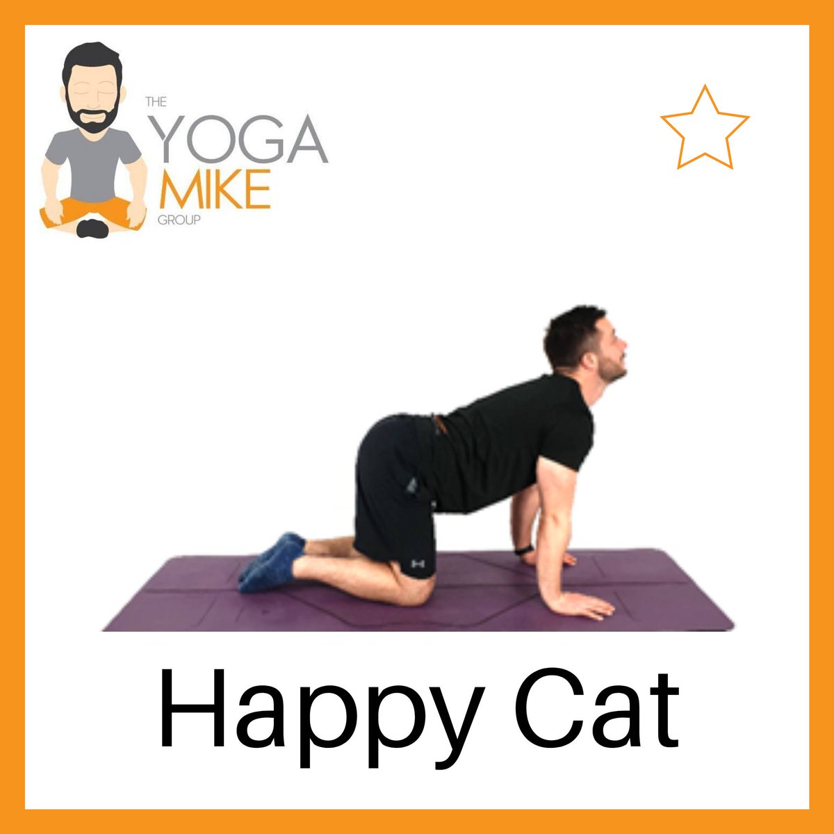 🧘Yoga Pose of the Week🧘‍♀

Difficulty = ⭐

🐱Happy Cat🐱

Benefits of this pose: 

- Stimulates and strengthens abdominal organs 

- Opens the chest to make breaths slow and deep