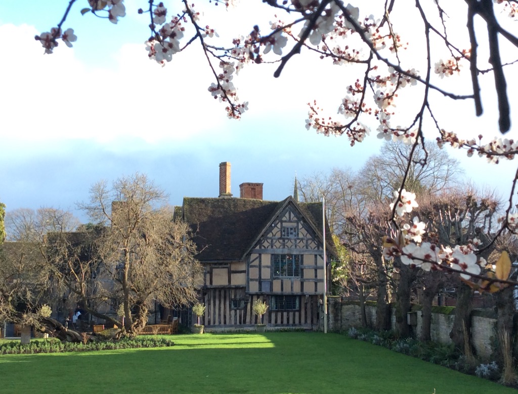 The calm after the weekend storm! #Hallscroft garden in the early spring sunshine.