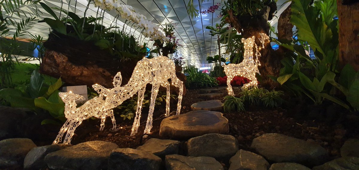 Seputar bandara Soetta T3 #terminal3 #bandarasoetta