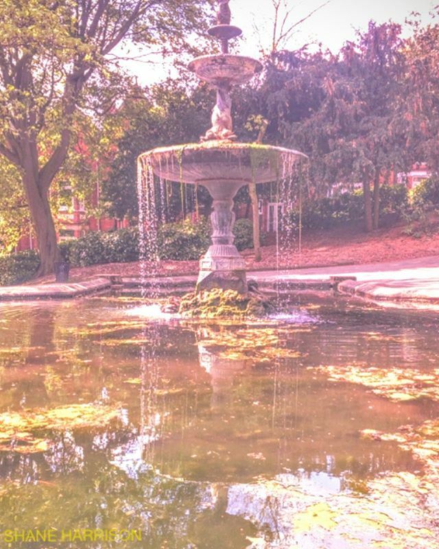 Fountain. Lincoln Arboretum.

@lincolncastle @lincs_official @lincolnshirewalks 
Prints, various sizes. Message me.

#fountain #lincoln #lincolnshire #gardens #publicgardens #water #art #artist #photo #photographer #photography #impressionism #colourful … ift.tt/2wzMSLV