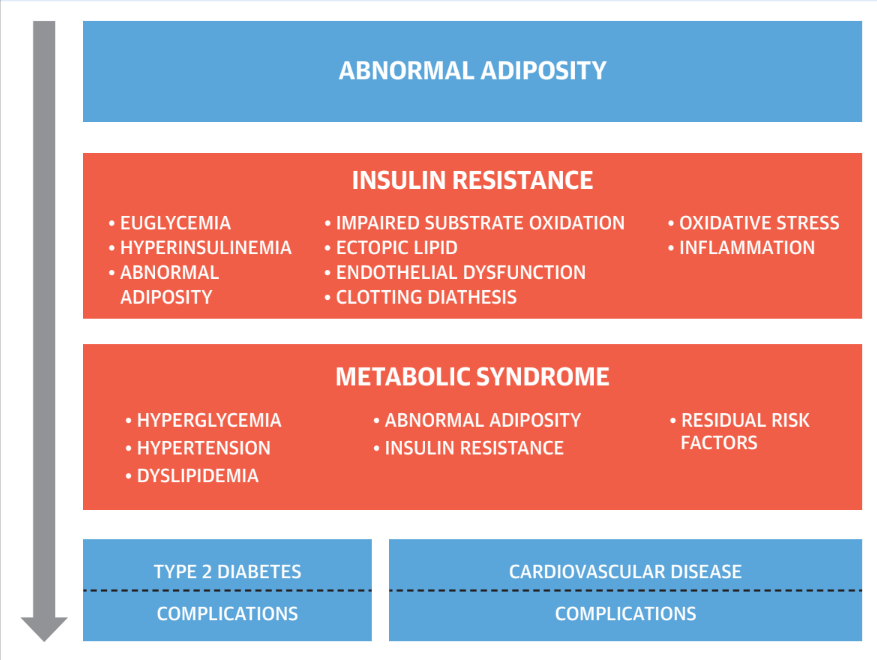 RT <a href="/IntraMednet/">IntraMed</a>: ¿Qué es la enfermedad crónica de origen cardiometabólico?  Adiposidad, resistencia a la insulina y disglucemia. intramed.net/95594