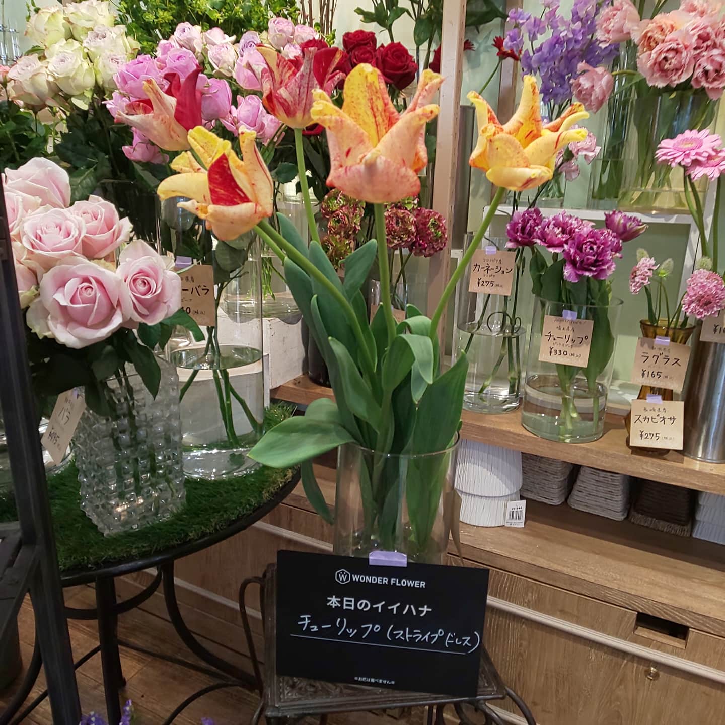 ちろる 今日のお花 チューリップを頂きましたm M 外出先の近くのお花屋さんにて 花言葉 思いやり イイハナ ハナノヒ 日比谷花壇 浜松駅 メイワン T Co Otuwq3xo7e Twitter
