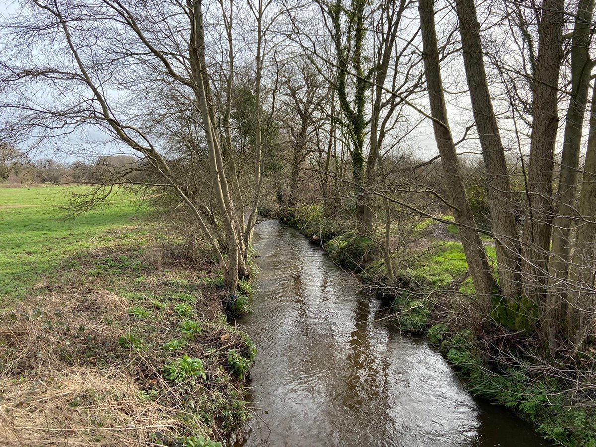 HeathlandHounds's tweet image. Lovely group dog walk around #ChobhamWaterMeadows on Friday. So refreshing to see a break in the rain and even indulge in a latte outside after! Wellie weather for some time longer though it seems ☹️ #dogwalkingcommunity #getmuddytogether @Surreyheath