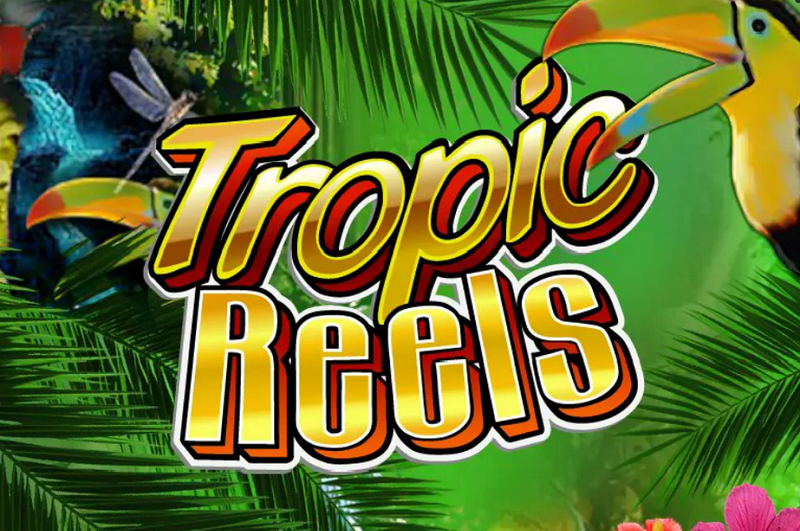 CasinoruRu's tweet photo. Cлот с высоким уровнем возврата #RTP

#Tropic_Reels от #Playtech c #PTR = 98.95%. 

#Tropic_Reels  имеет три барабана и пять линий, обладает несколькими увлекательными особенностями и идиллическим дизайном тропического острова. https://t.co/FdRezsArYh