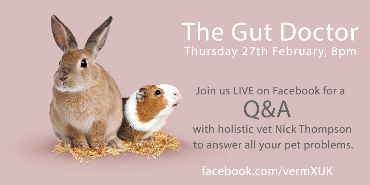 Gut health and why it’s essential for you and your pet. This Thursday with <a href="/holisticvetUK/">Dr. Nick Thompson</a> .
